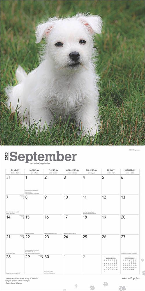 2025 West Highland White Terrier Puppies Calendar