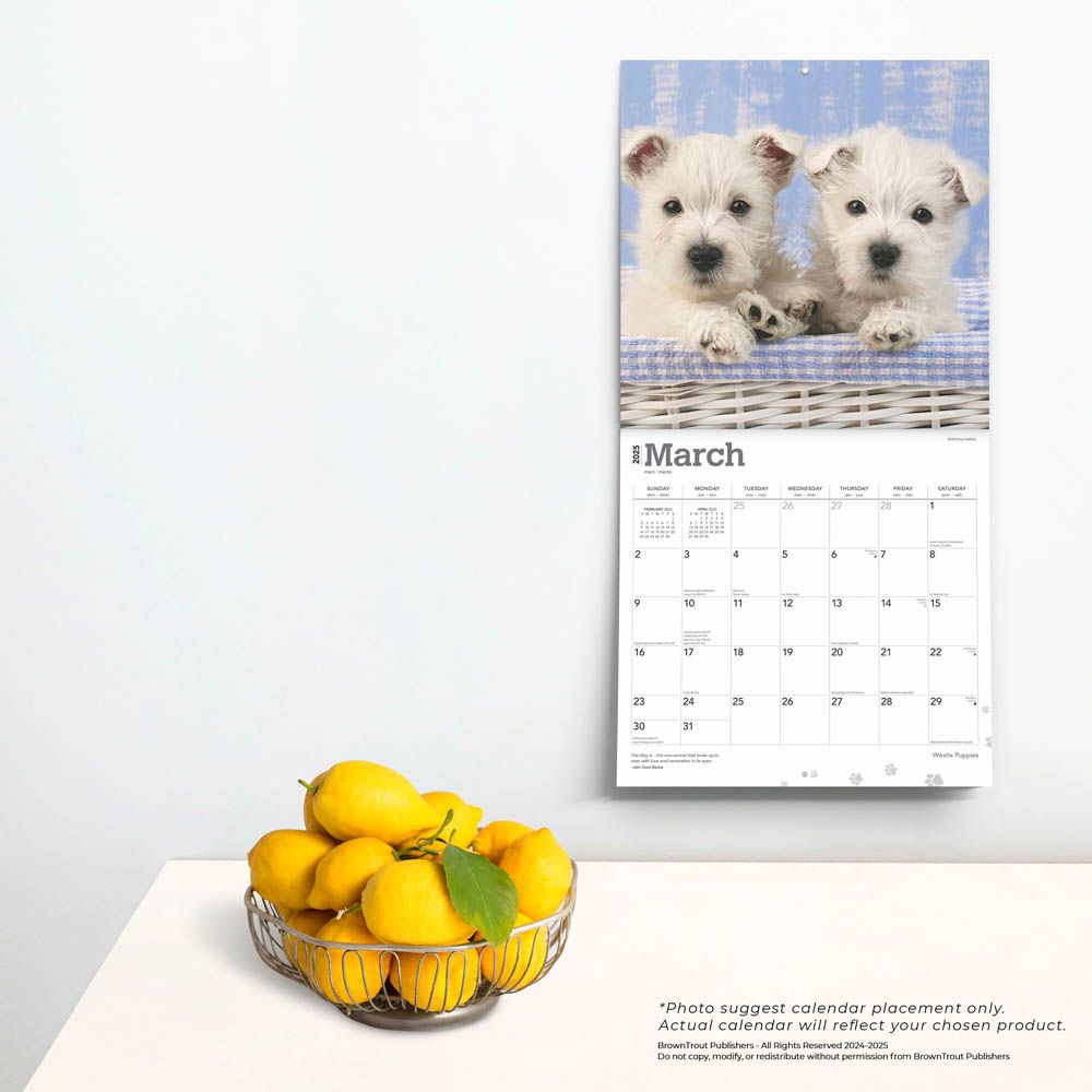 2025 West Highland White Terrier Puppies Calendar