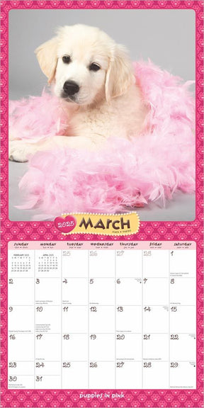 2025 Puppies In Pink Calendar