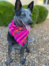 Mom and Pup Co. - Bandana & Scrunchy Matching Orange Aztec