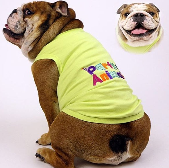 Party Animal Dog T-Shirt