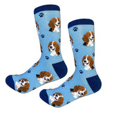 Socks Beagle