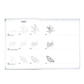 Learn to Draw Bugs, Birds & Butterflies