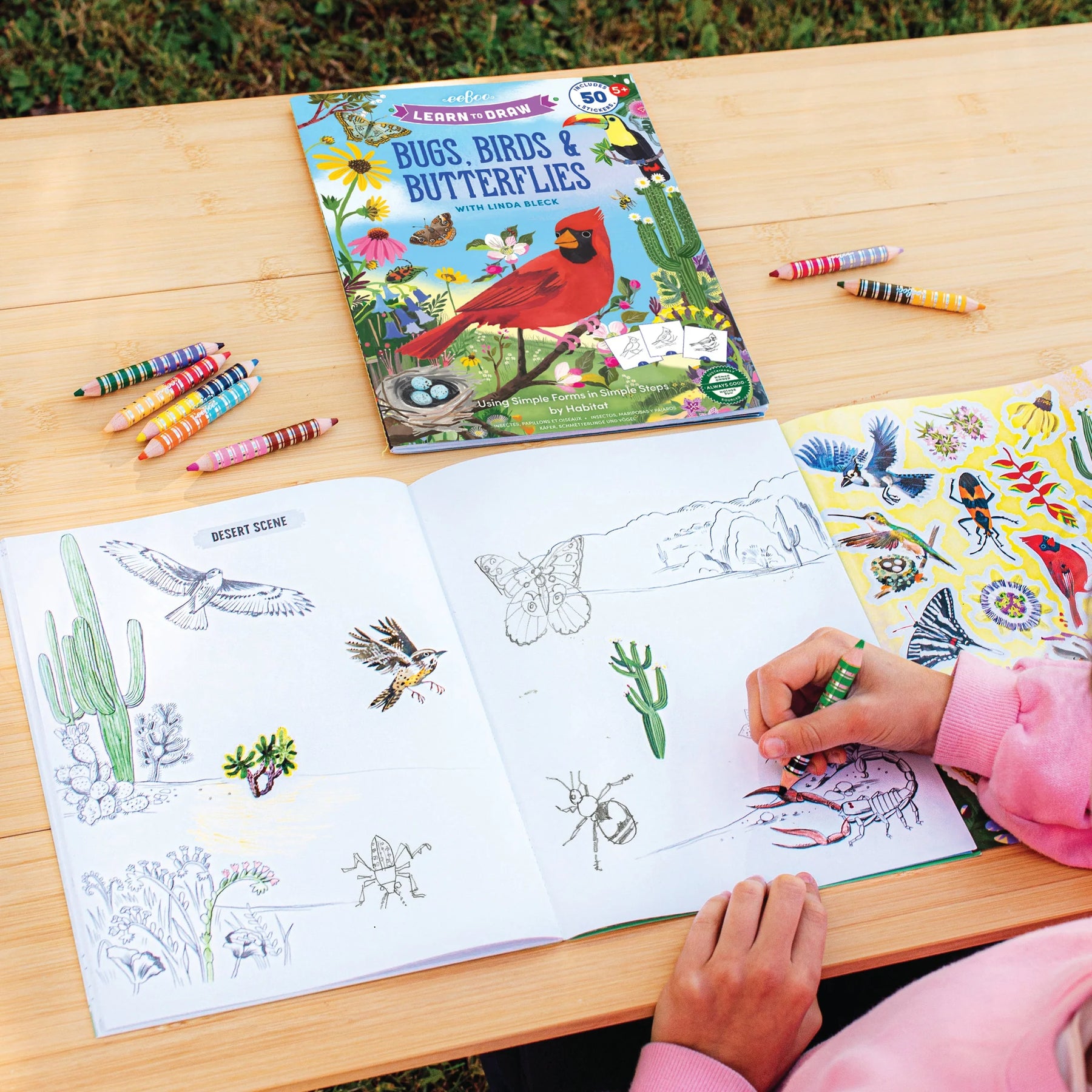 Learn to Draw Bugs, Birds & Butterflies