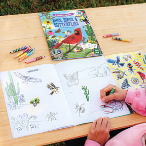 Learn to Draw Bugs, Birds & Butterflies