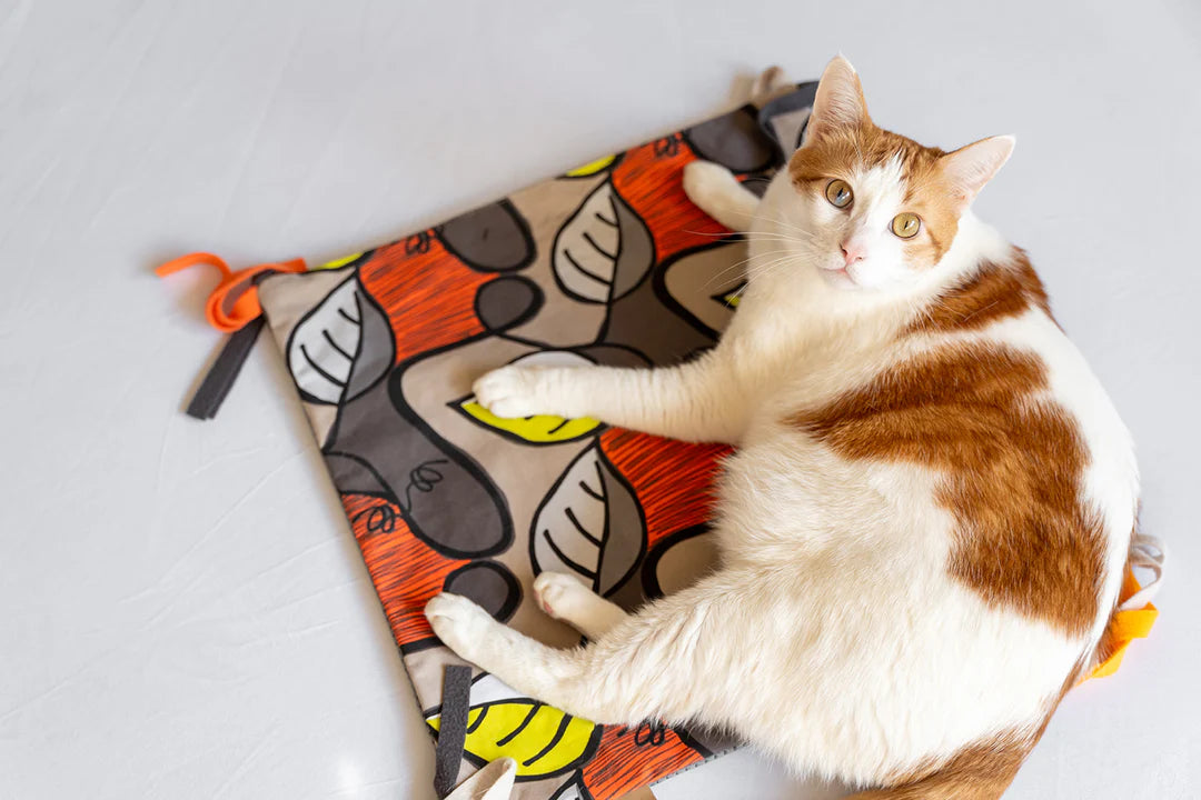 Crinkle Catnip Mat La Folie