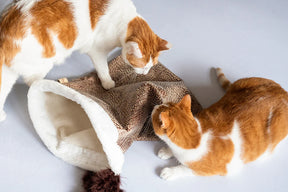 Cat Crinkle Sack