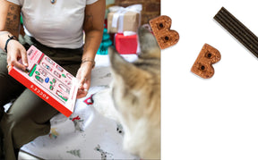 Holiday Brushy Sticks & Biscuits 12 Day Advent Calendar