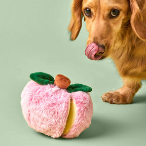 Dog Toy Apple Interactive Snuffle