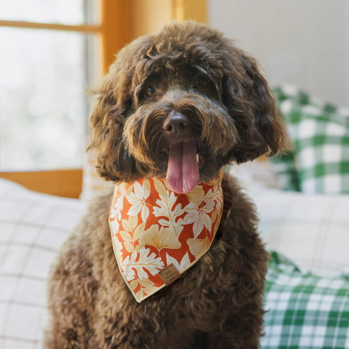 Bandana Dog Autumn Leaves