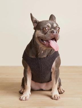 Barefoot Dreams - CozyChic Love Dog Sweater Carbon