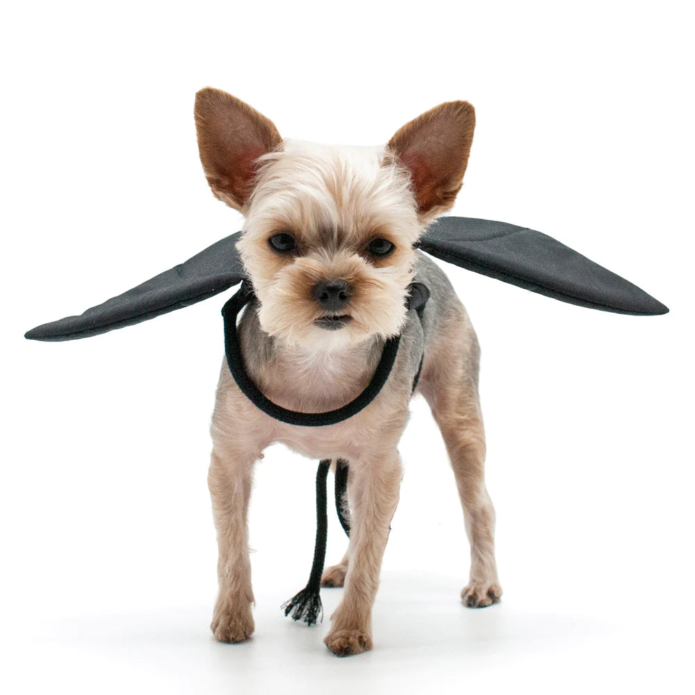 Dogo Pet - Bat Wings Costume