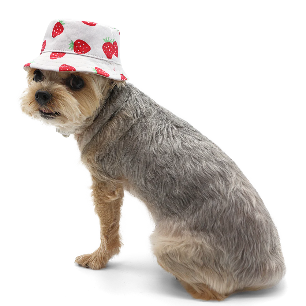 Dogo Pet - Bucket Hat Strawberry