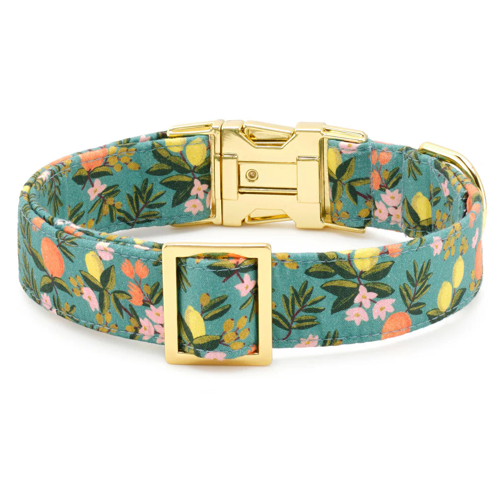 Dog Collar Citrus Floral Rifle Paper CO. X TFD