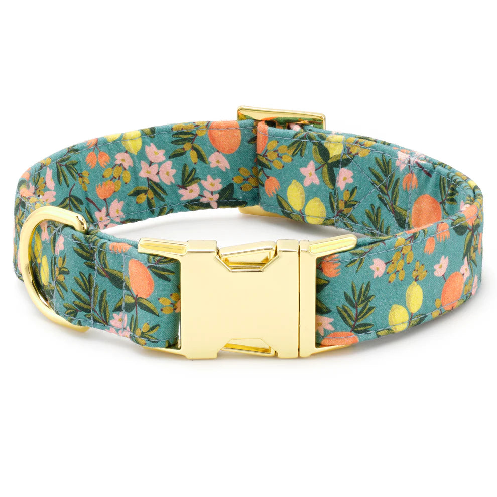 Dog Collar Citrus Floral Rifle Paper CO. X TFD