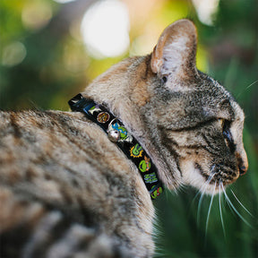 Buckle Down - Cat Collar Breakaway with Bell, Teenage Mutant Ninja Turtles