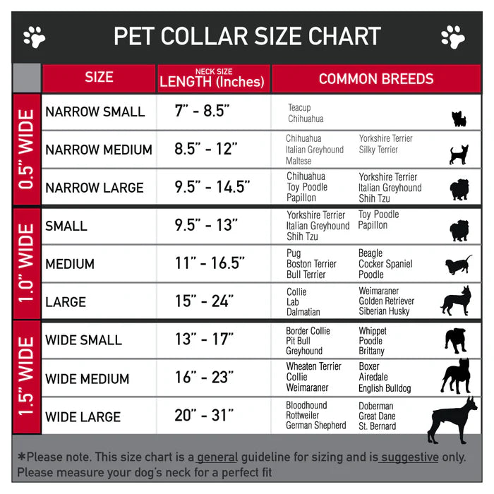 Buckle Down - Plastic Martingale Collar CAUTION