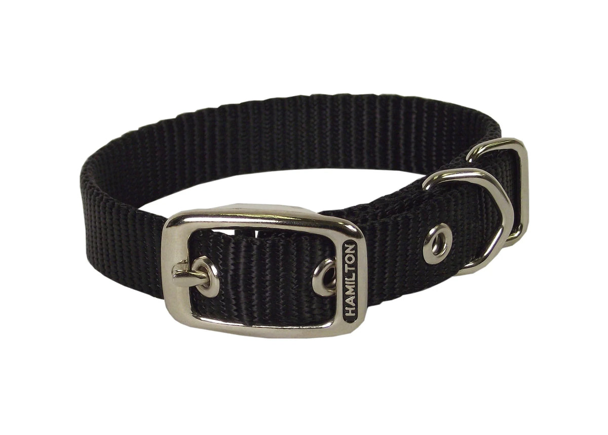 Collar Nylon Large 1"