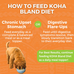 KOHA - Bland Diet Chicken & Rice Pouches Wet Dog Food 12.5 ounces