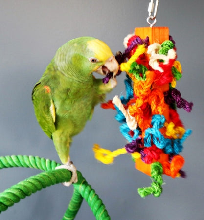 Hari Smart.Play - Preening Block