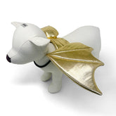 Dogo Pet - Dragon Wings Costume (Gold)