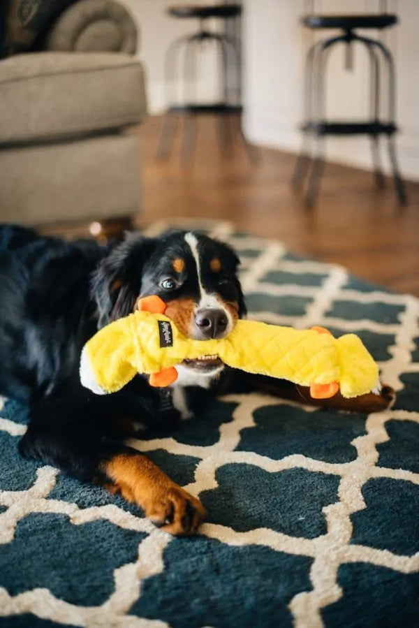 ZippyPaws - Jigglerz-Duck-Plush