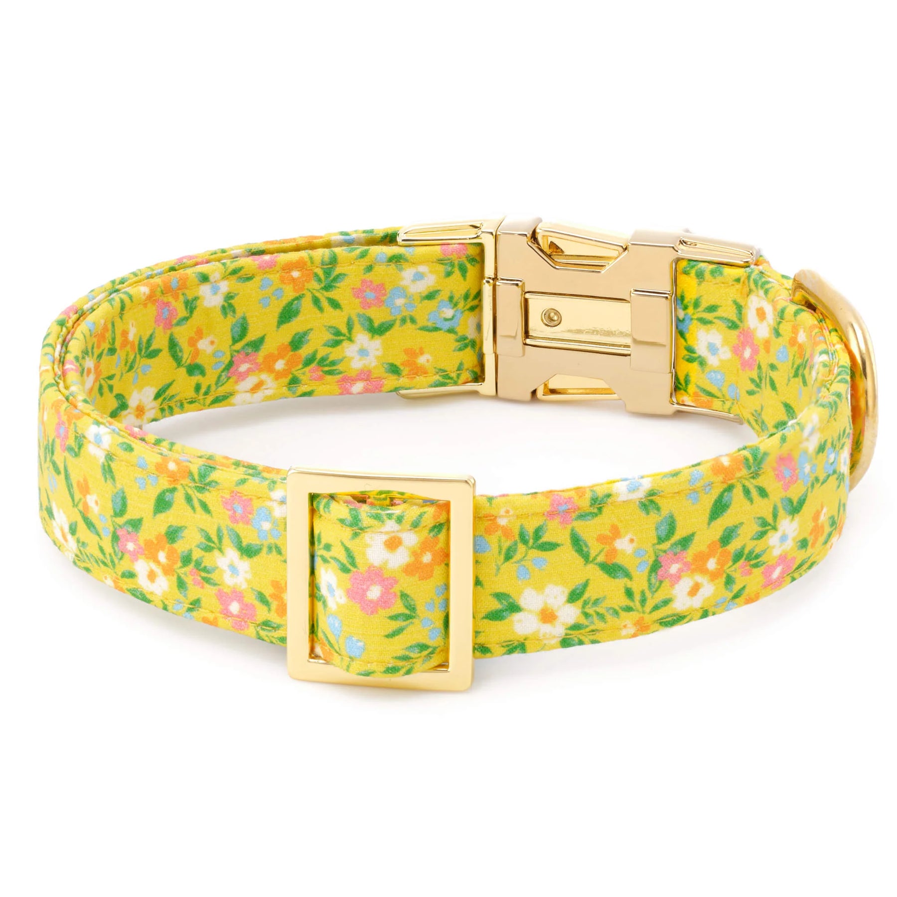 Dog Collar Sunny Meadow