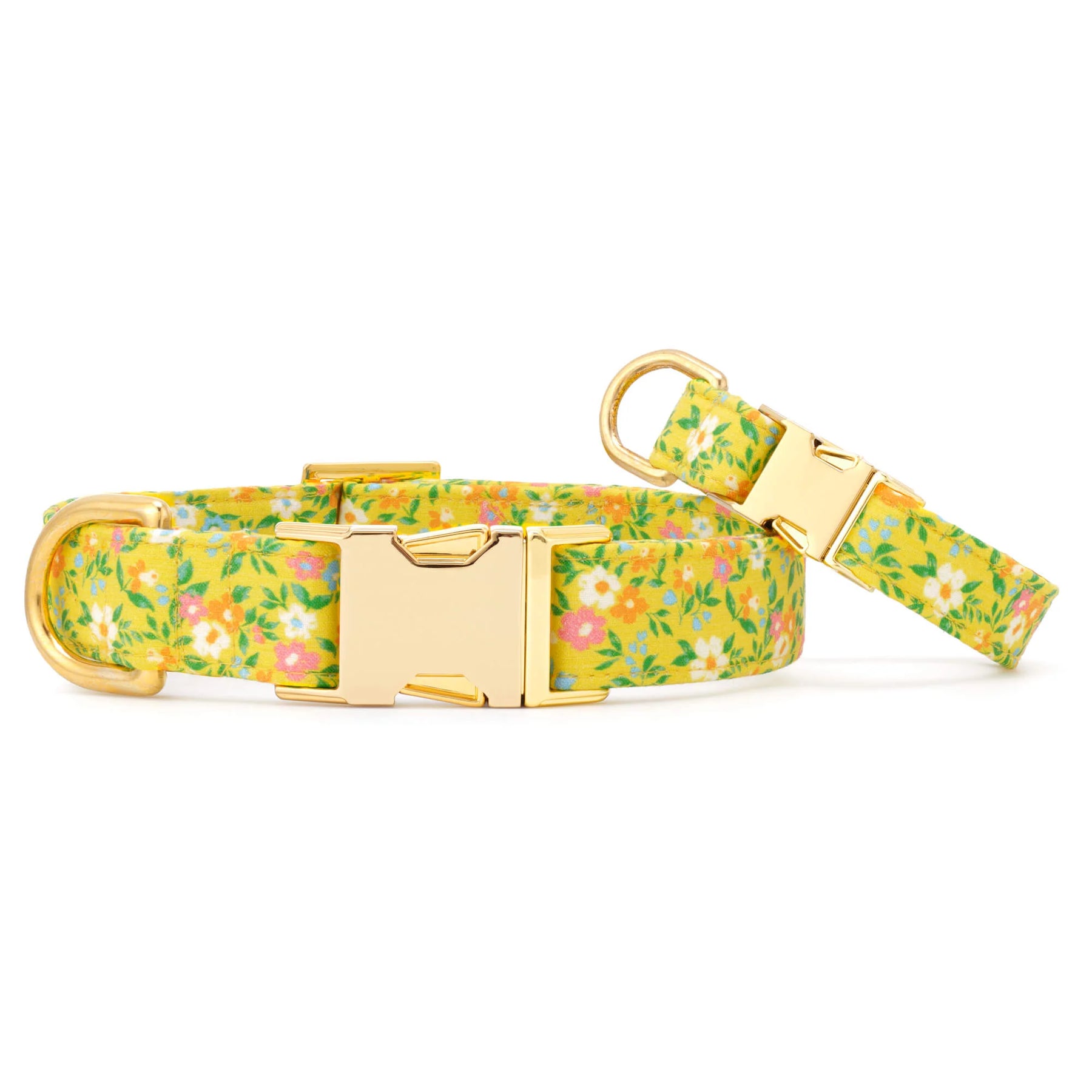 Dog Collar Sunny Meadow