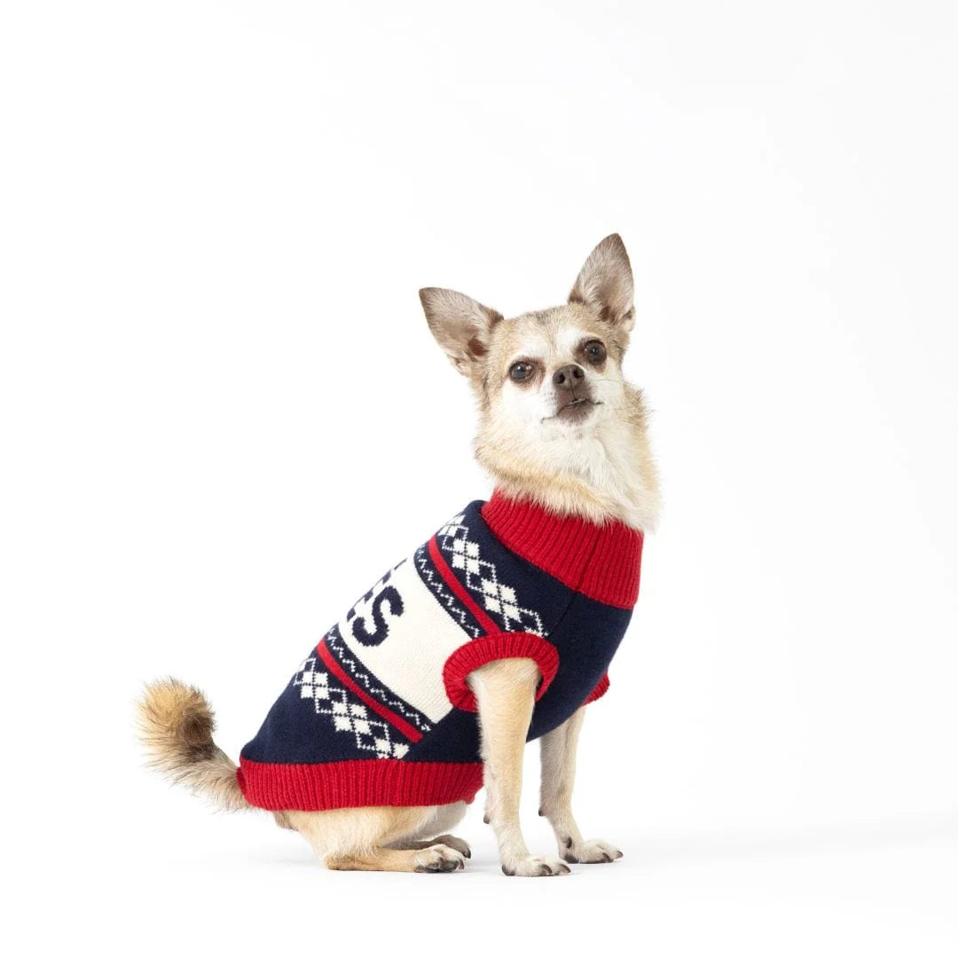 Fab Dog - Sweater Fab Ski Apres