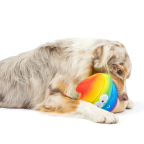 Huxley & Kent - Fro-Yo Pride Cone (DoubleSided) for Dogs