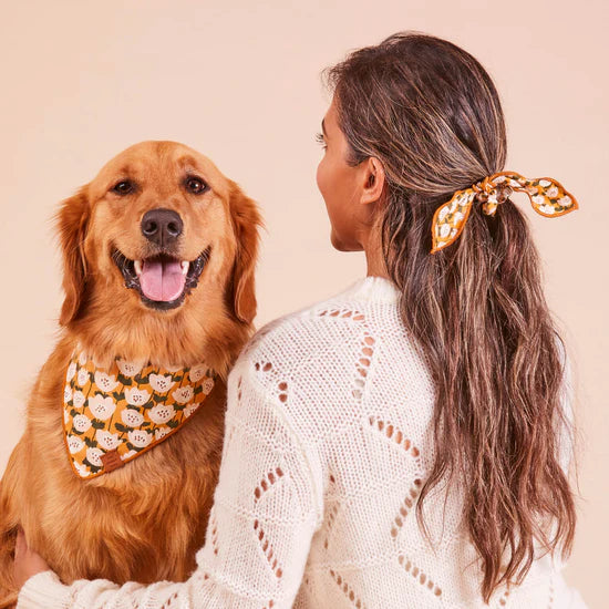 Bandana Dog Goldenflowers