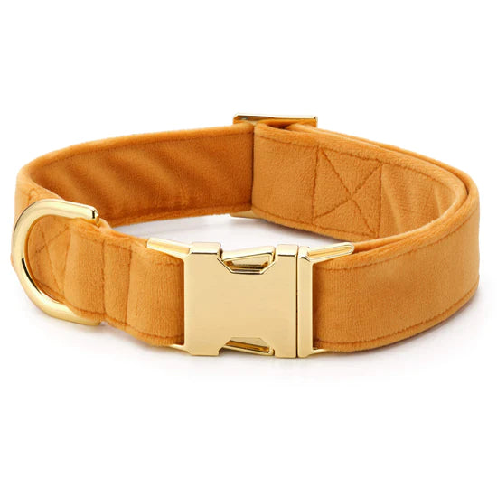 Dog Collar Honey Velvet