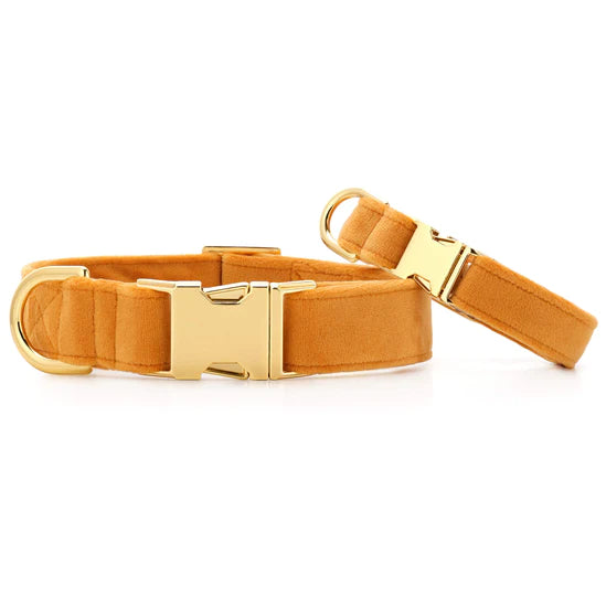 Dog Collar Honey Velvet