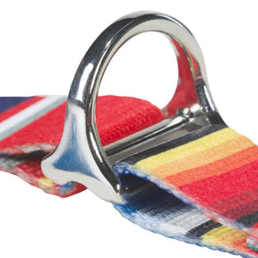 Hooey Pet Walking Harness - Serape Tijuana