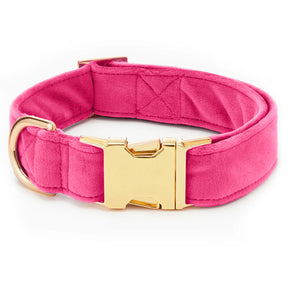 Dog Collar Hot Pink Velvet