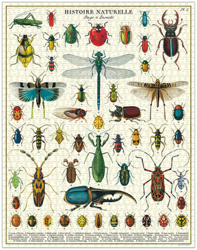 Cavallini & Co. - Puzzle Bugs & Insects