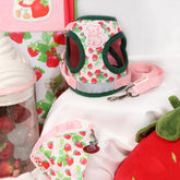 Harness & Leash Set - "Strawberry Shortcake"