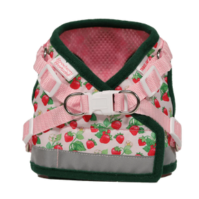 Harness & Leash Set - "Strawberry Shortcake"