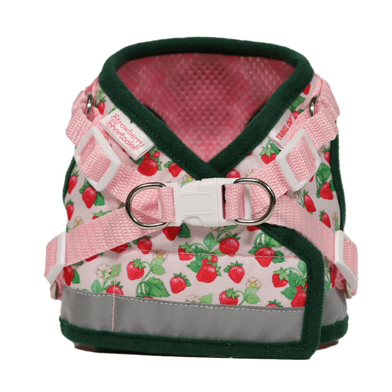 Harness & Leash Set - "Strawberry Shortcake"