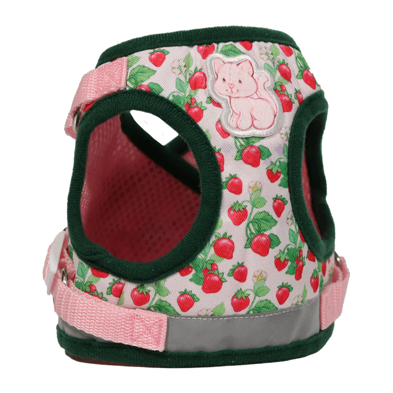 Harness & Leash Set - "Strawberry Shortcake"