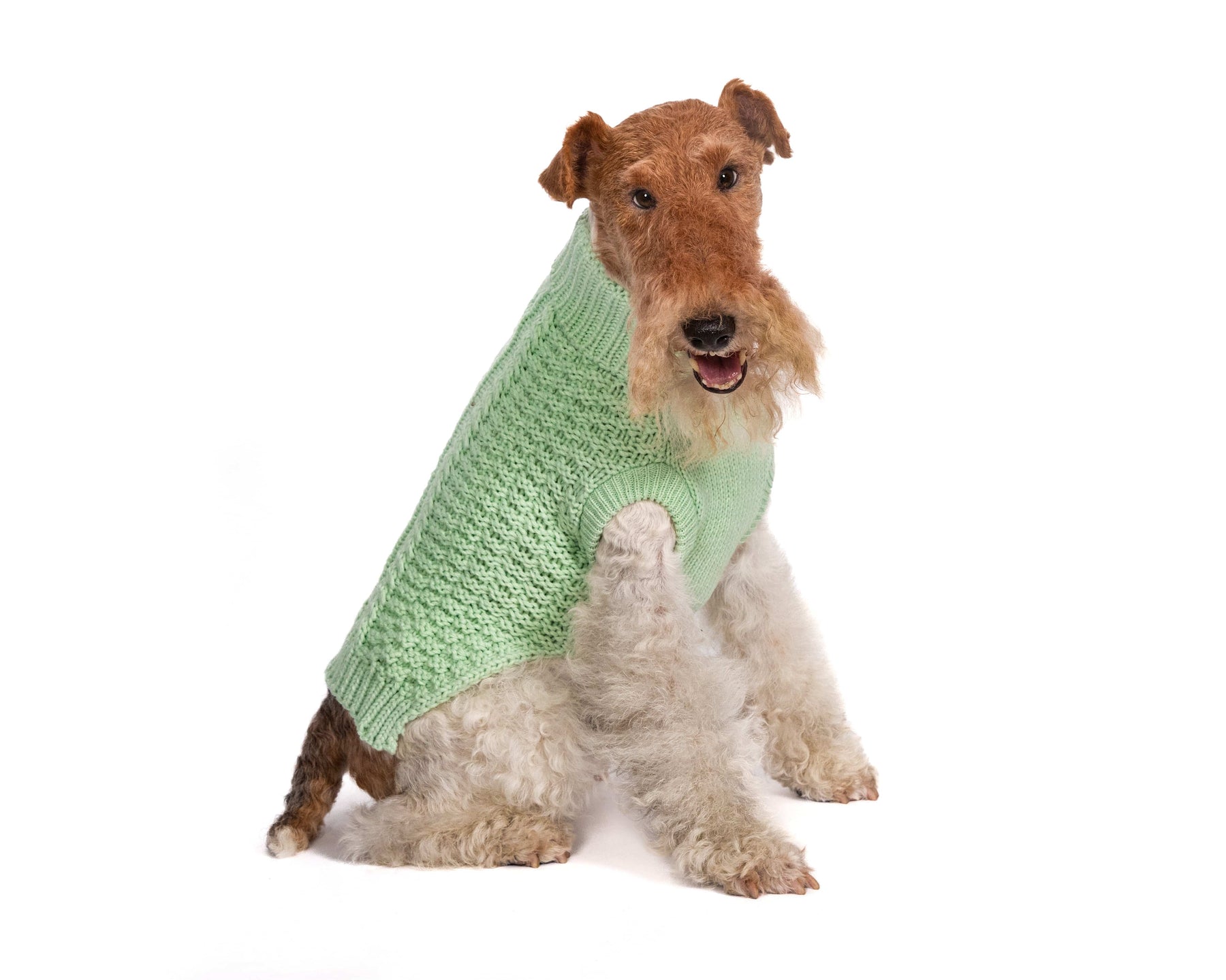 Fab Dog - Sweater Super Chunky Mint