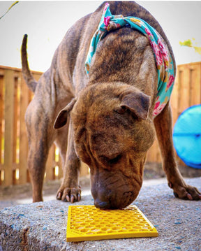 Enrichment Lick Mat - Honeycomb Design