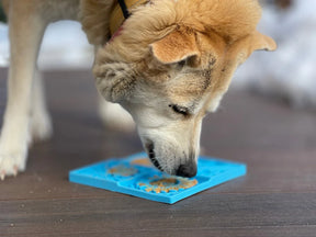 Enrichment Dog Tray Lick Mat - Sky Design