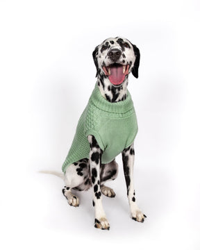 Fab Dog - Sweater Super Chunky Mint