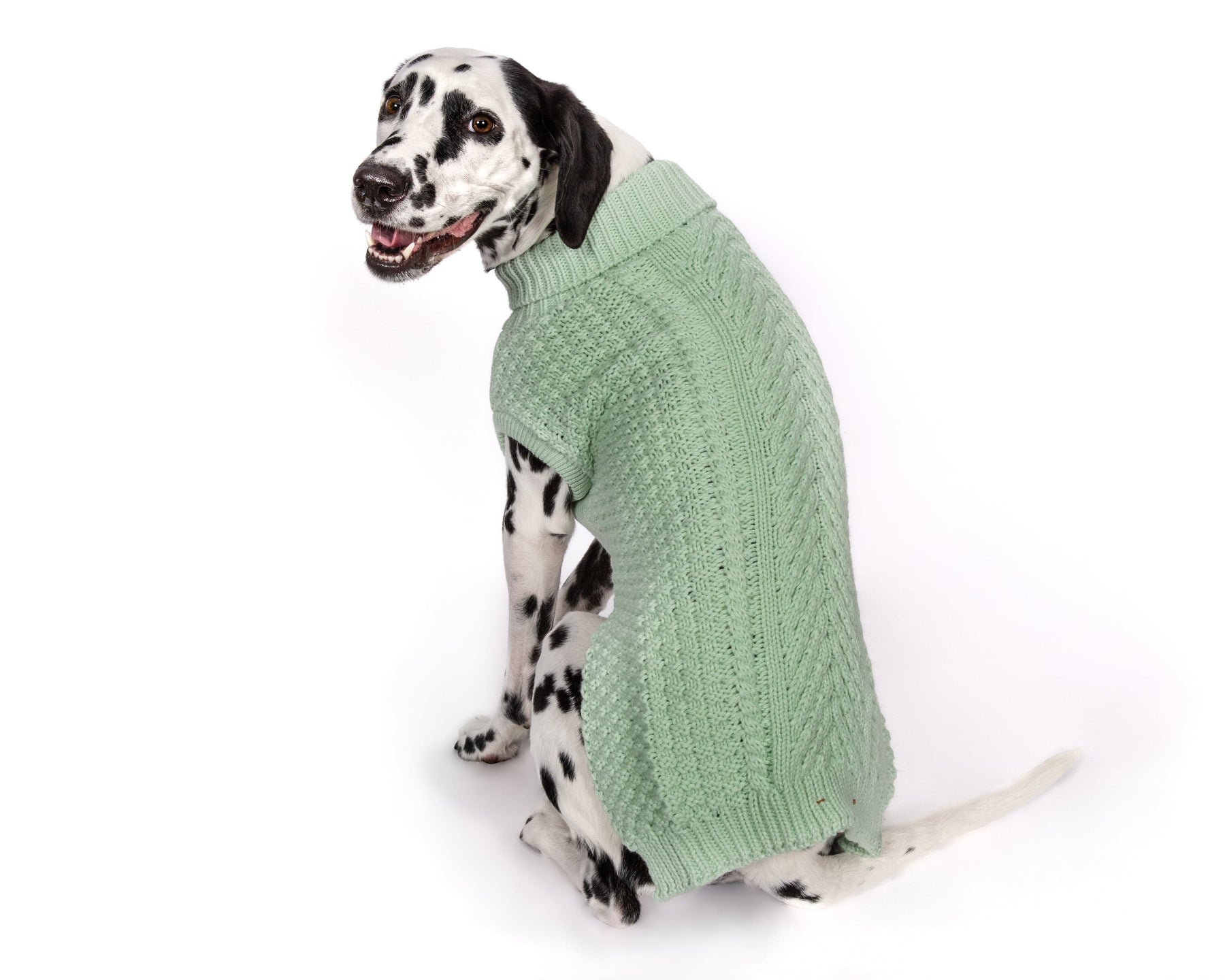 Fab Dog - Sweater Super Chunky Mint