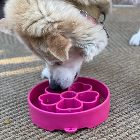 eBowl Enrichment Slow Feeder - Bowl Flower Design