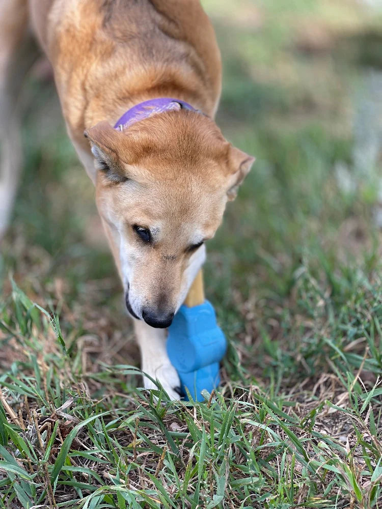 Pet Rubber Yak Chew Holder