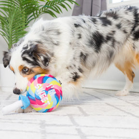 Huxley & Kent - I'm Sweet Lollipop Dog Toy