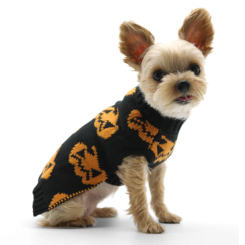 Dogo Pet - Sweater Jack O Lantern