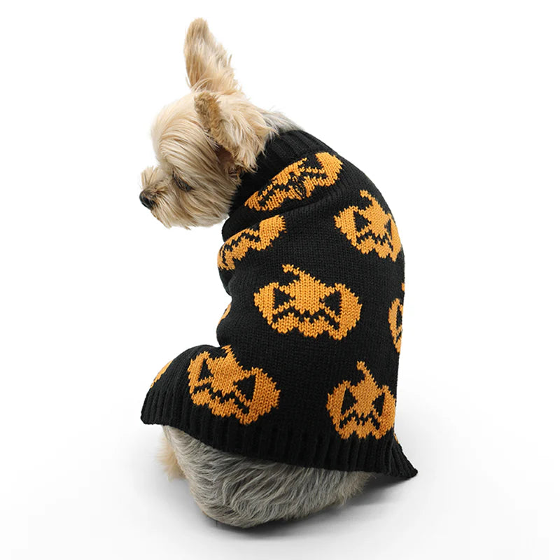 Dogo Pet - Sweater Jack O Lantern